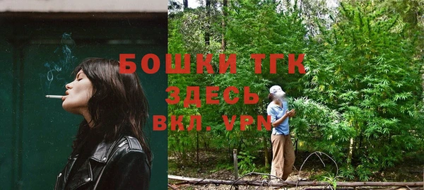 гашик Зеленокумск