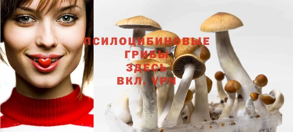 гашик Зеленокумск