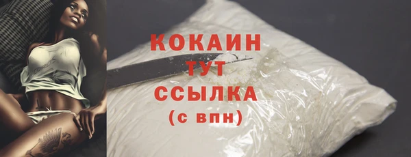 гашик Зеленокумск