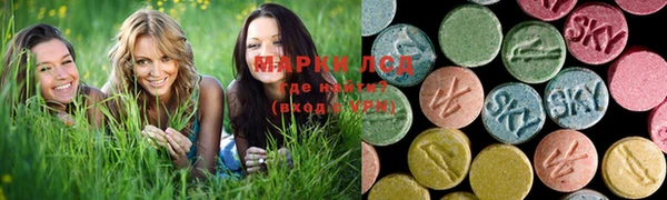 гашик Зеленокумск