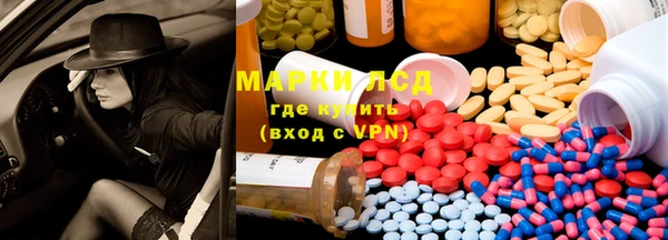 гашик Зеленокумск